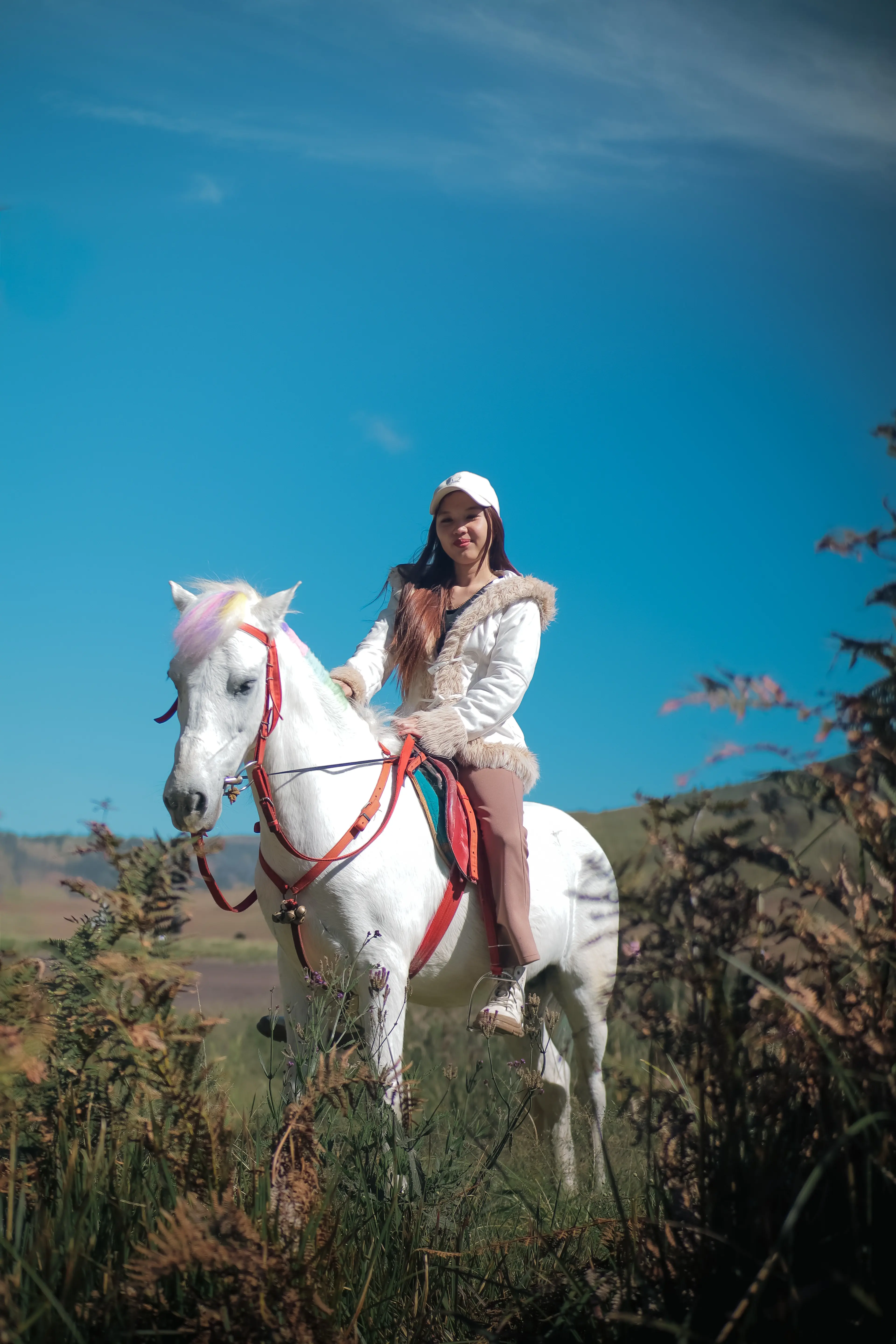 Pemandangan Bromo