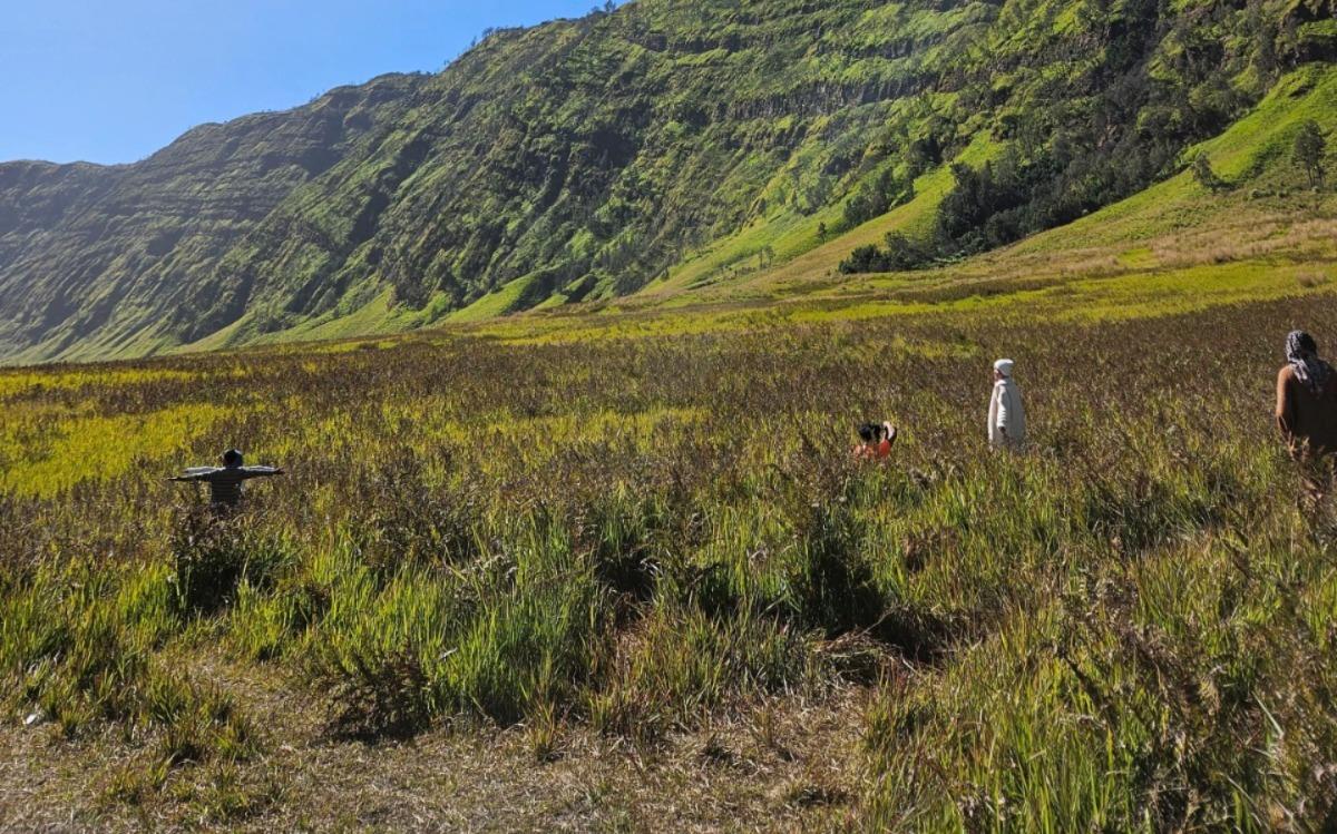 Savana (Bukit Teletubbies)